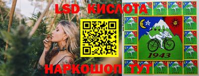 спиды Новодвинск
